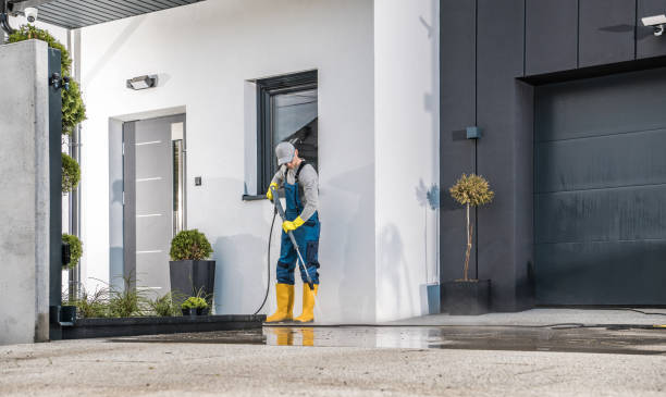 Best Graffiti Removal Services in Wlow Springs, IL
